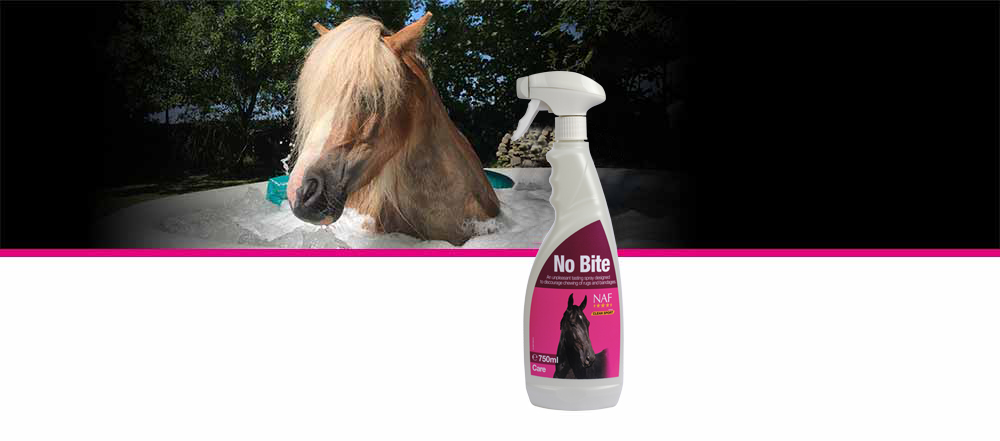 Unpleasant tasting spray to discourage biting of rugs and bandages