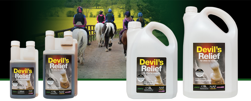 Natural relief to comfort old or stiff joints. <br><br> <strong>This product contains devil’s claw which is an FEI prohibited substance</strong>