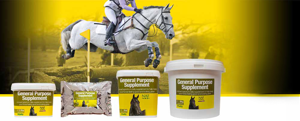 Broad spectrum vitamins and minerals to keep your horse in top condition