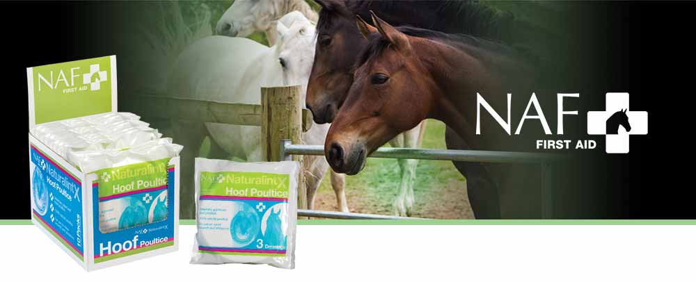 Highly absorbent multi layered dressing designed to fit comfortably in the hoof
