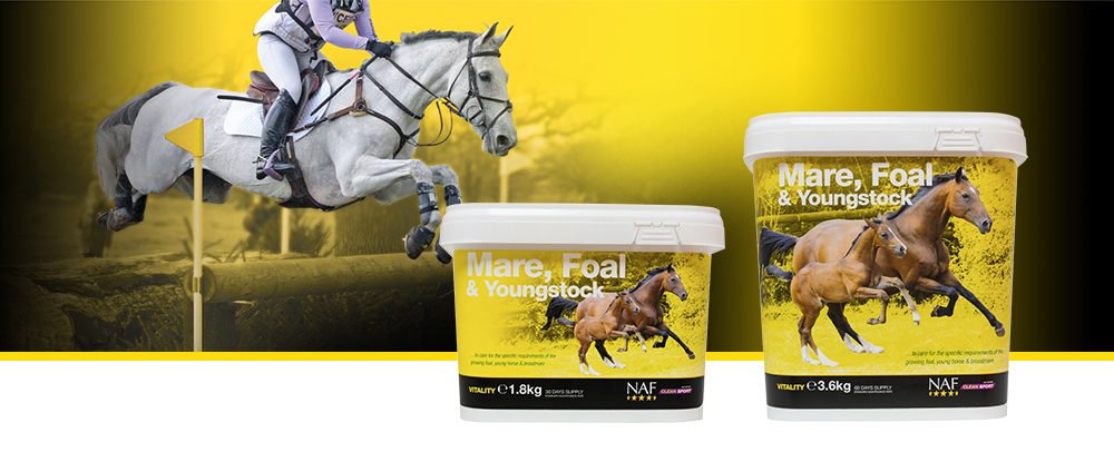 Specifically formulated to support the growing foal, young horse and broodmare