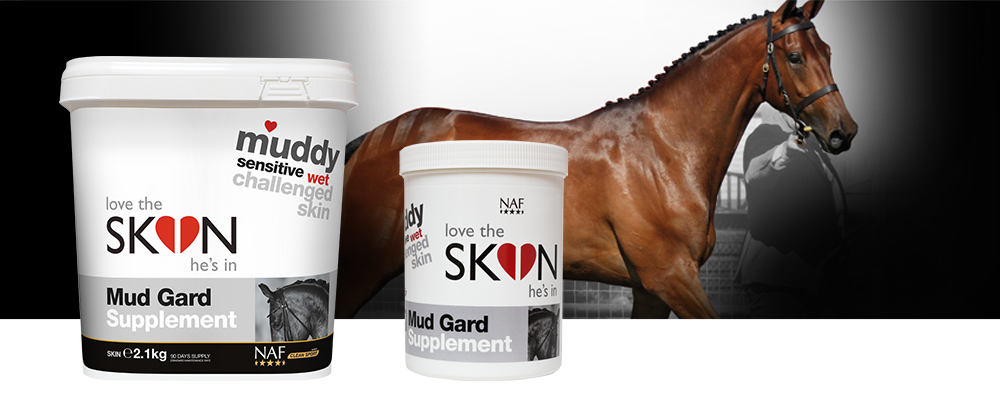 Nutritional support for skin challenged by wet and muddy conditions