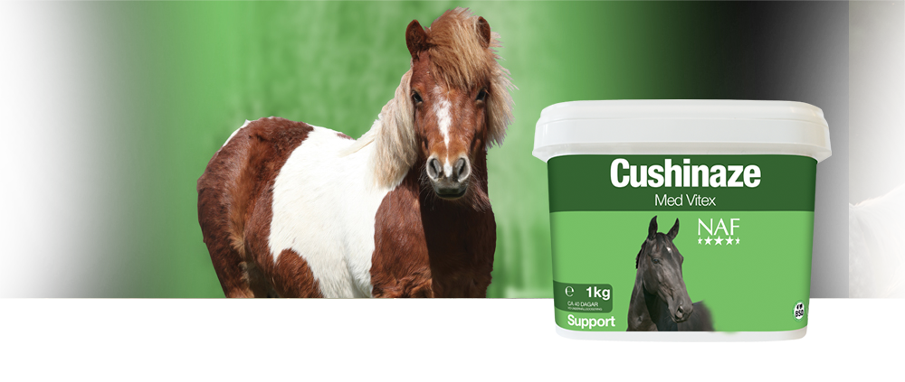 1Cushinaze &auml;r utformad att ge vitalitet och ett n&auml;ringsm&auml;ssigt st&ouml;d till hypofysen samt f&ouml;r att optimera magtarmfunktionen