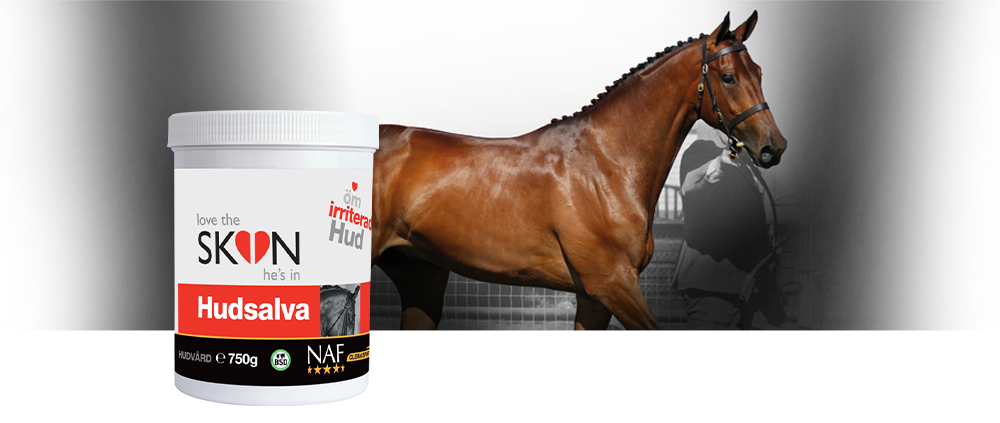 Lindra och lugna kliande, irriterande hudomr&aring;den med LTSHI Hudsalva.