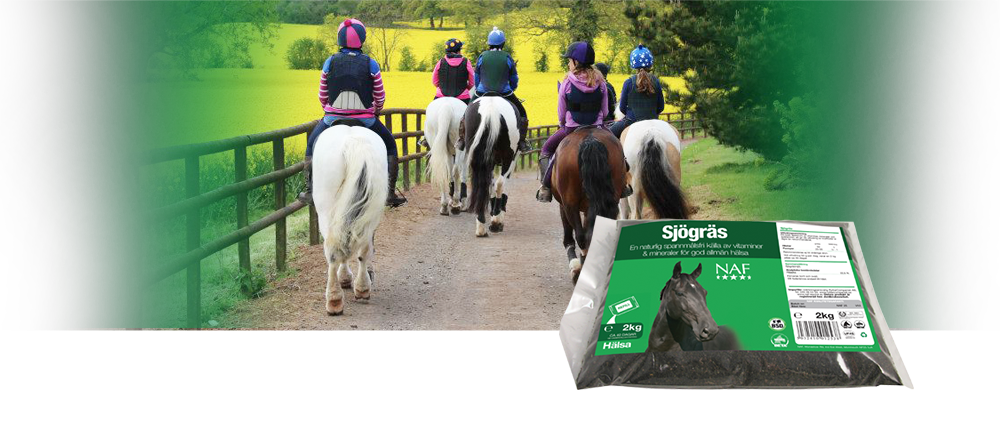 Djur vars diet inkluderas av naturlig tillg&aring;ng av sj&ouml;gr&auml;s, ses ofta vara mer friska med skinande p&auml;ls och starka hovar.