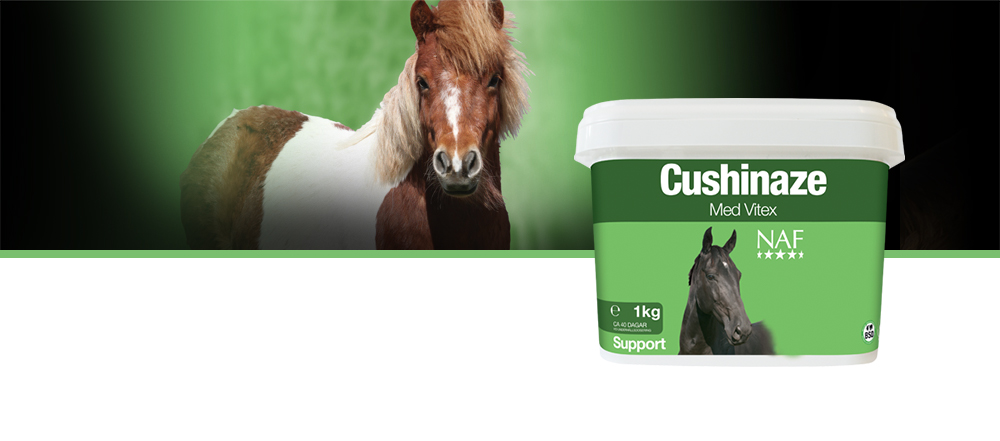 1Cushinaze &auml;r utformad att ge vitalitet och ett n&auml;ringsm&auml;ssigt st&ouml;d till hypofysen samt f&ouml;r att optimera magtarmfunktionen