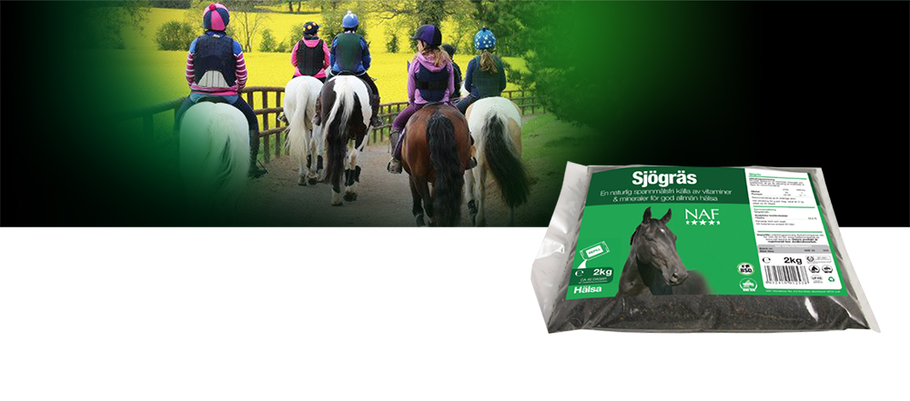 Djur vars diet inkluderas av naturlig tillg&aring;ng av sj&ouml;gr&auml;s, ses ofta vara mer friska med skinande p&auml;ls och starka hovar.