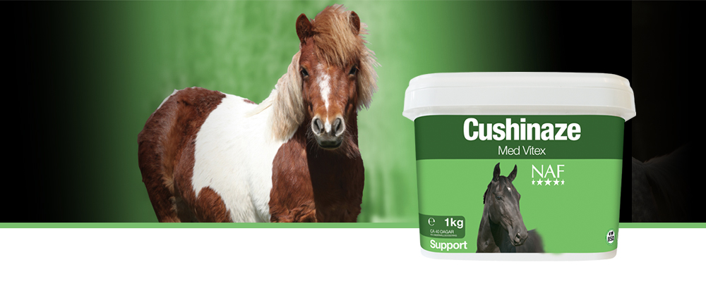 1Cushinaze &auml;r utformad att ge vitalitet och ett n&auml;ringsm&auml;ssigt st&ouml;d till hypofysen samt f&ouml;r att optimera magtarmfunktionen