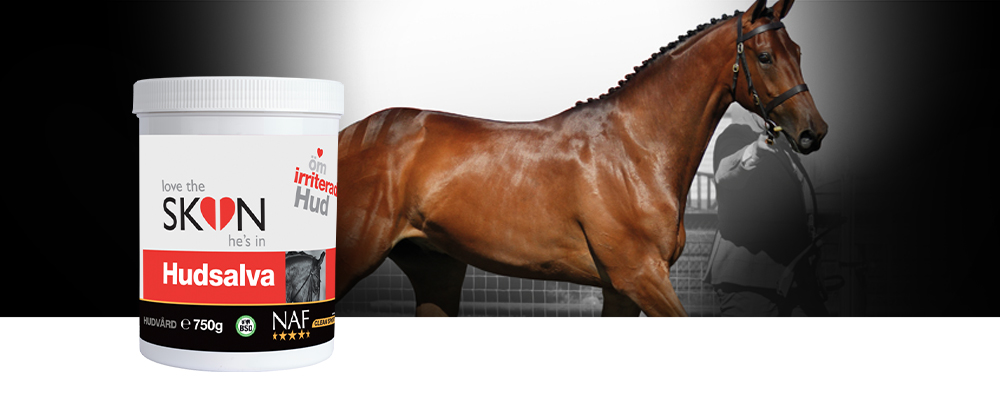 Lindra och lugna kliande, irriterande hudomr&aring;den med LTSHI Hudsalva.