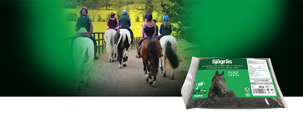 Djur vars diet inkluderas av naturlig tillg&aring;ng av sj&ouml;gr&auml;s, ses ofta vara mer friska med skinande p&auml;ls och starka hovar.