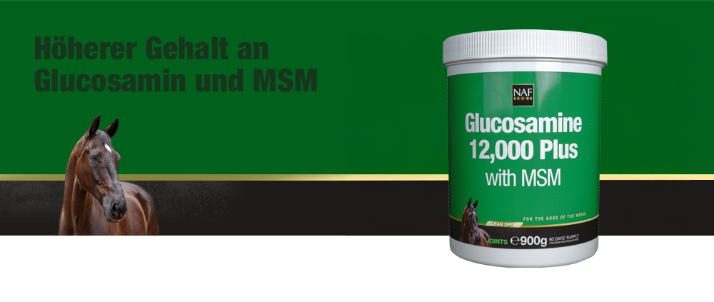 Glucosamine 12,000 Plus mit MSM liefert die anerkannte Menge an Glucosaminsulfat mit zusätzlicher Unterstützung von MSM