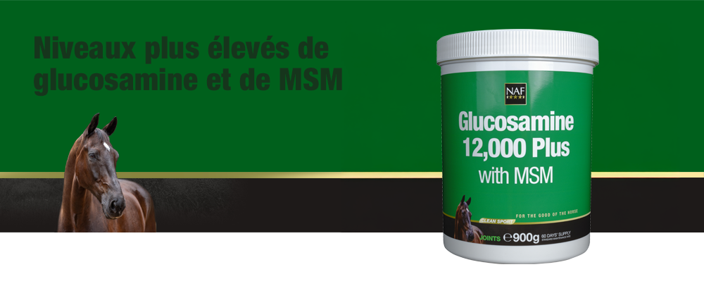 Glucosamine 12 000 Plus avec MSM fournit le niveau reconnu de sulfate de glucosamine