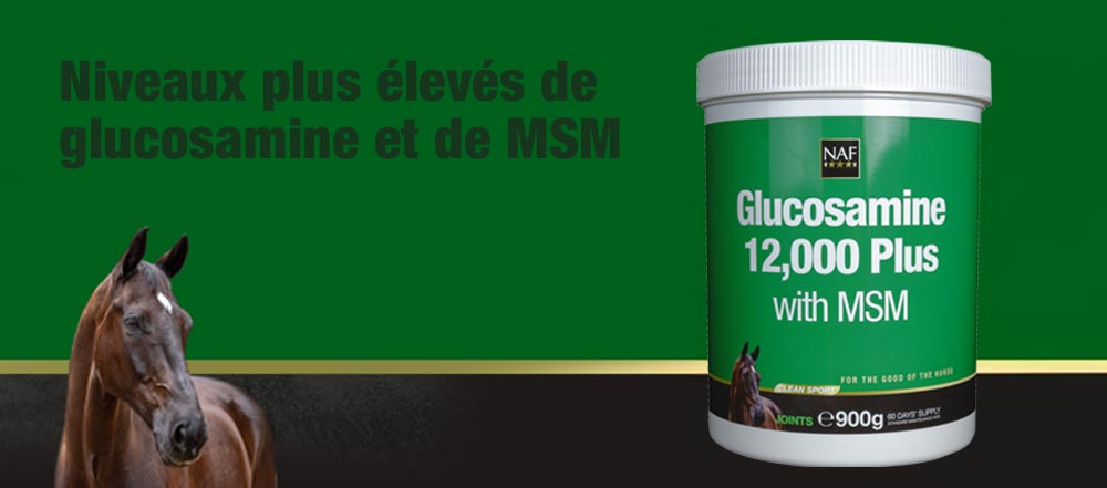 Glucosamine 12 000 Plus avec MSM fournit le niveau reconnu de sulfate de glucosamine