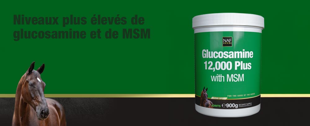 Glucosamine 12 000 Plus avec MSM fournit le niveau reconnu de sulfate de glucosamine