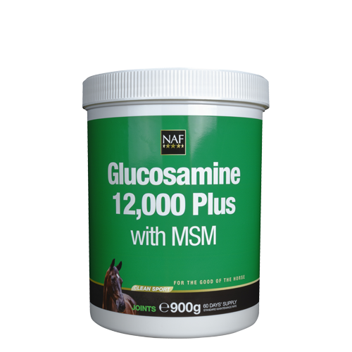 Glucosamine 12000 Plus avec MSM