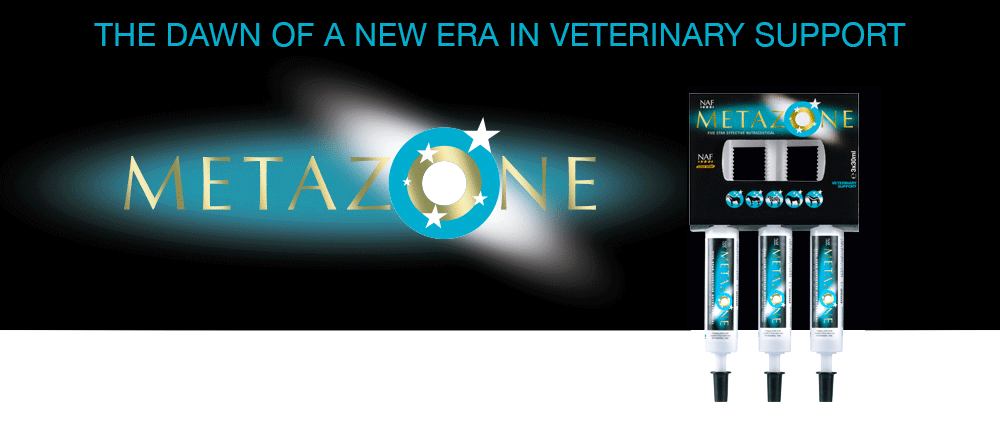 Formulated to support the anti-inflammatory process Formulated to support the anti-inflammatory process