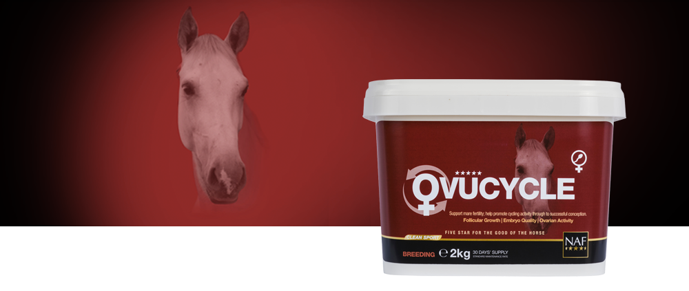 Help her achieve a successful conception this season, formulated for all mares to promote ovarian activity, follicular growth and embryo quality.