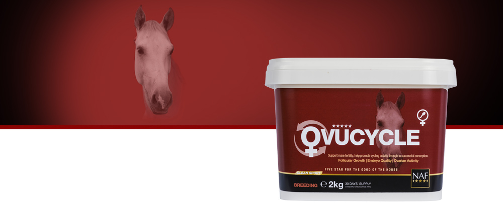 Help her achieve a successful conception this season, formulated for all mares to promote ovarian activity, follicular growth and embryo quality.