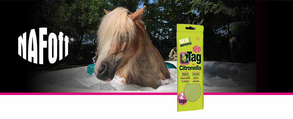 Silicone tag with citronella for attaching to tack or rugs during the summer