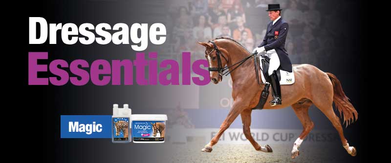 Dressage Essentials