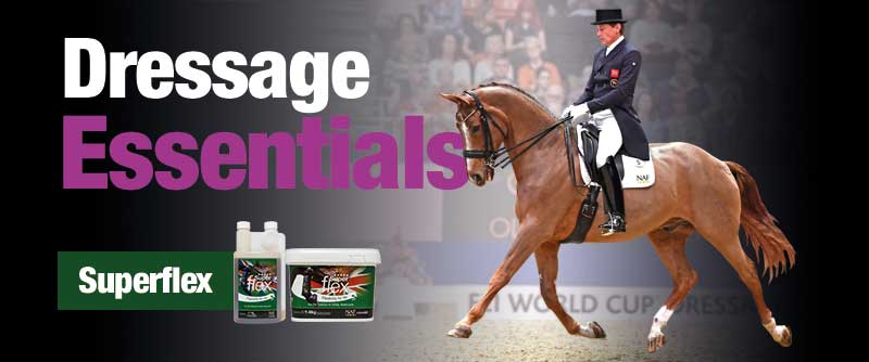 Dressage Essentials