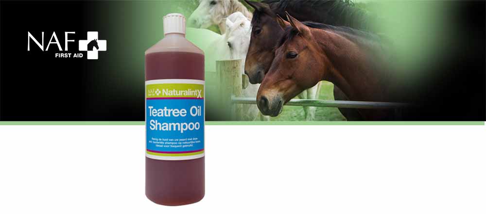invoegen begroting exotisch Teatree Oil Shampoo | Equine Supplements | Supplements for Horses