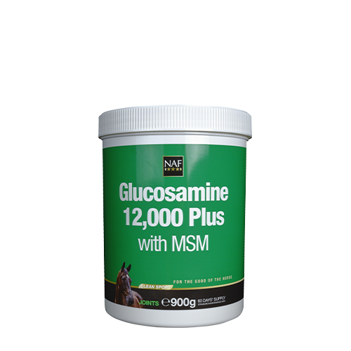 Glukosamin 12000 Plus med MSM