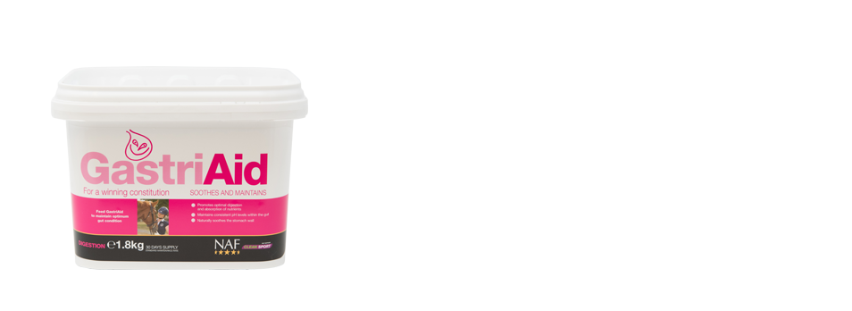 GastriAid