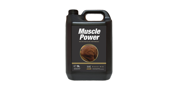 Muscle Power