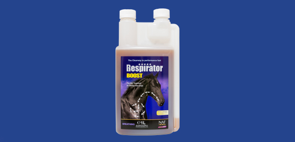 Respirator