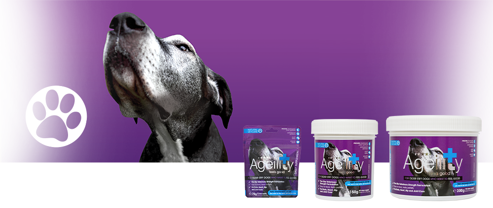 Veterinary strength nutritional support for older stiff doggys.