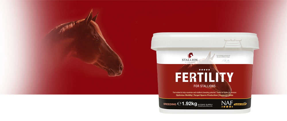 Formulated to help maximise each stallion's breeding potential