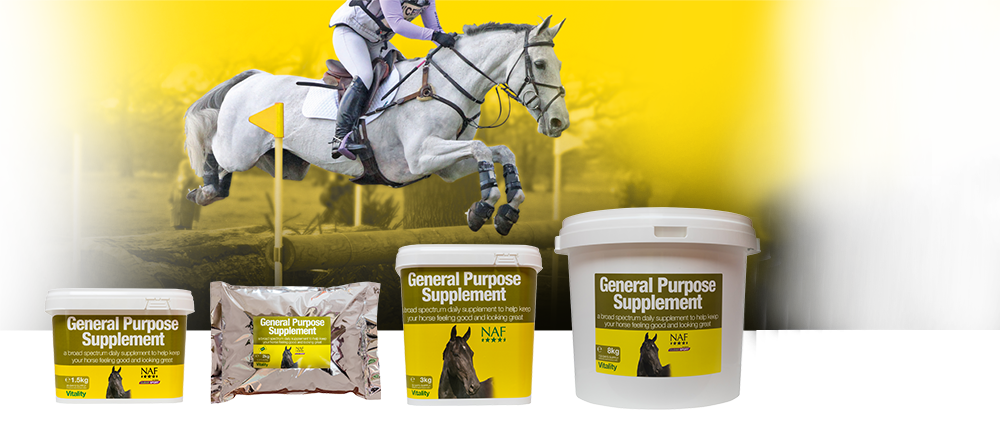 Broad spectrum vitamins and minerals to keep your horse in top condition
