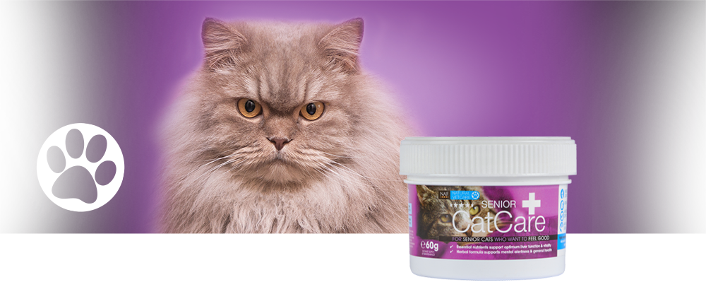 Veterinary strength nutritional supplement for older cats and those in need of kidney support.