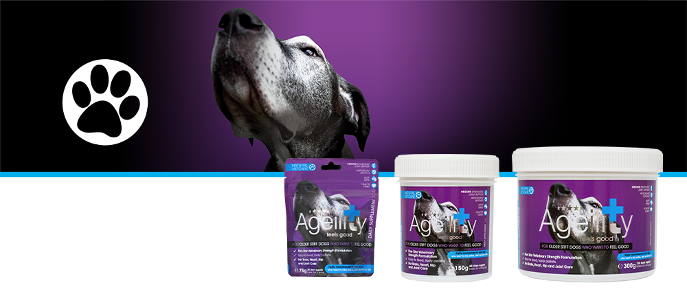 Veterinary strength nutritional support for older stiff doggys.