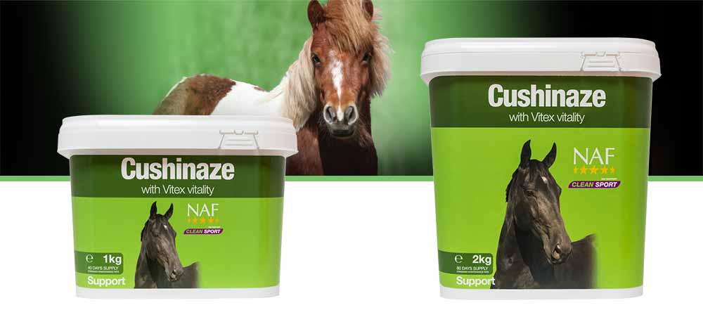 Provides nutritional support of the pituitary gland in older horses and ponies