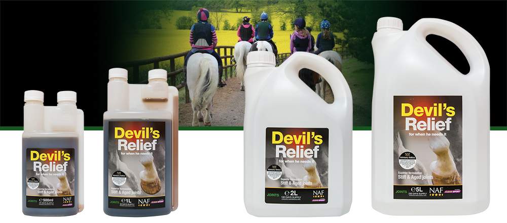 Devils Relief, Equine Supplements