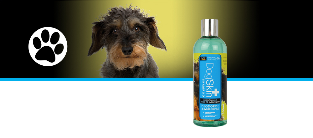 A gentle but effective deodorising shampoo for dogs prone to unpleasant odour or who roll in things they shouldn't!