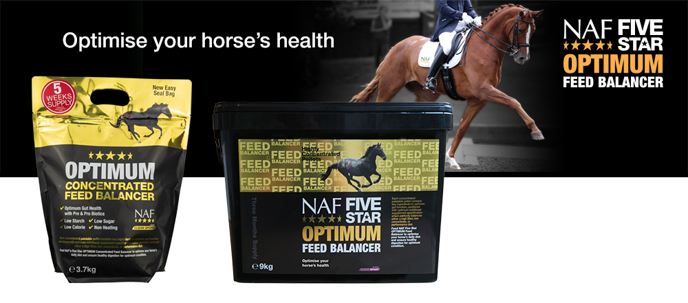 Concentrated, sugar free, high specification feed balancer for every horse