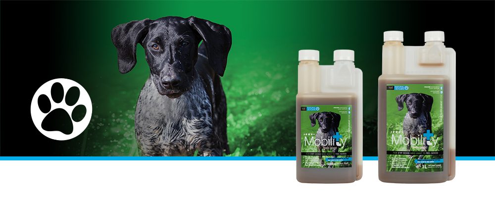Veterinary strength nutritional support for dogs with stiff joints or an active lifestyle.
