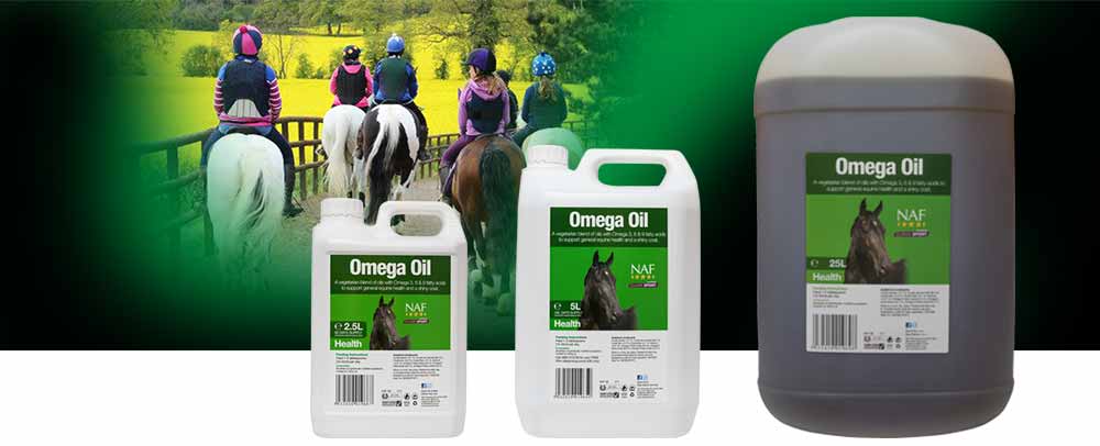 Blend of vegetable oils with Omegas 3, 6 and 9